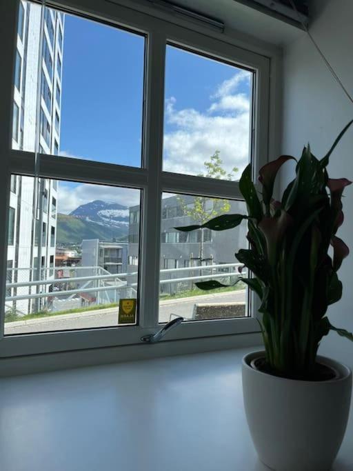 Cozy Ground Floor Apartment Tromsø Extérieur photo
